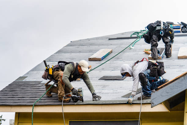 Professional Roofing technician working in Almont, CO
