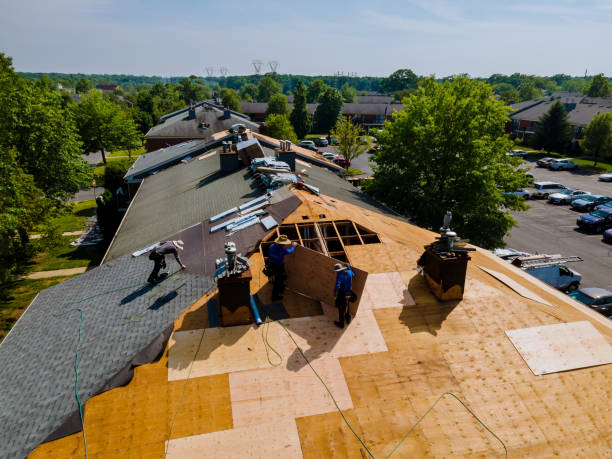 Trusted Roofing service in Almont, CO - Brentwood Metal Roofing